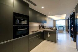 Cairnhill Nine (D9), Apartment #471346121